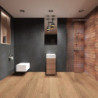 Ścianka prysznicowa Alfa TR 100cm - Kabina Walk-In – zdjęcie 2